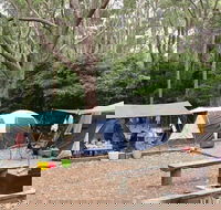Pebbly Beach campground - Yuraygir National Park - Tourism Caloundra