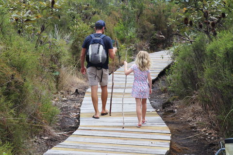 Kingfisher Bay Resort - Tourism Caloundra 7