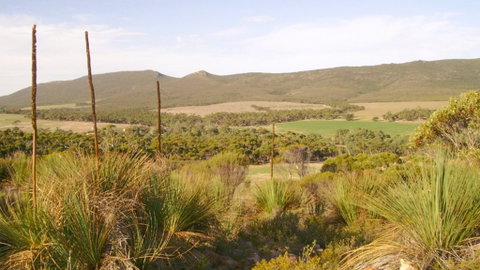 Nyroca Campsite & Group Accommodation - Tourism Caloundra 0