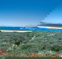 Lucky Bay Campground at Cape Le Grand National Park - Tourism Caloundra