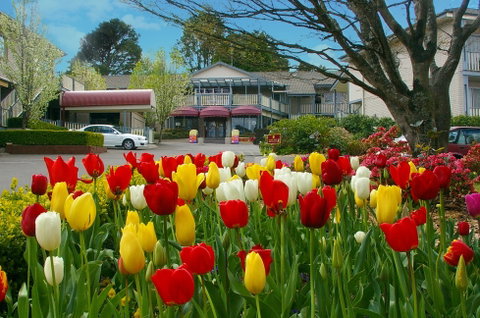 Nesuto Leura Gardens Hotel - Tourism Caloundra 0
