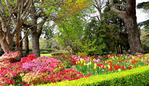 Nesuto Leura Gardens Hotel - Tourism Caloundra 9