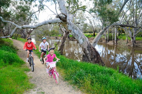 NRMA Echuca Holiday Park - Tourism Caloundra 0
