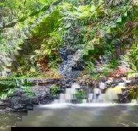 O'Reilly's Rainforest Retreat - Tourism Caloundra