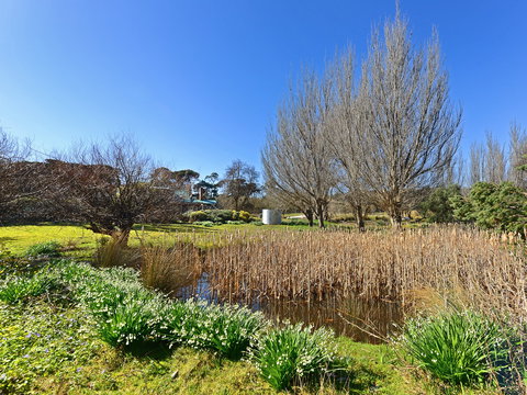 Ventnor Guest House - Tourism Caloundra 9