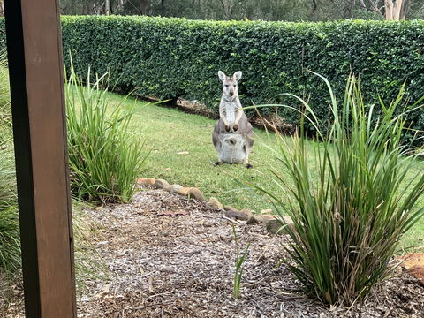 Wild Edge Retreat - Tourism Caloundra 9