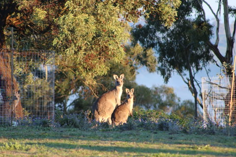 Abercrombie Ridge - Tourism Caloundra 7