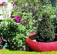 Armidale Pines Motel - Tourism Caloundra