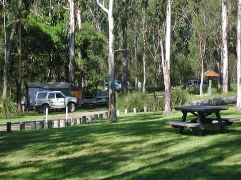 Chaelundi Campground - Tourism Caloundra 0