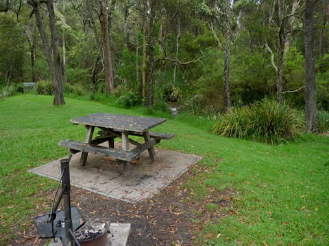 Chaelundi Campground - Tourism Caloundra 1