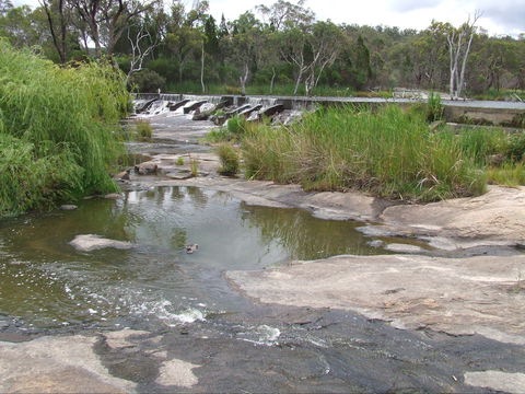 Country Style Caravan Park - Tourism Caloundra 1
