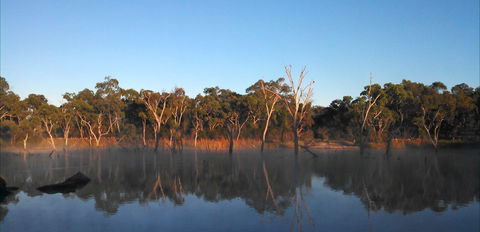Country Style Caravan Park - Tourism Caloundra 3