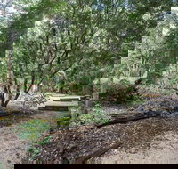 Eungella National Park camping - Tourism Caloundra