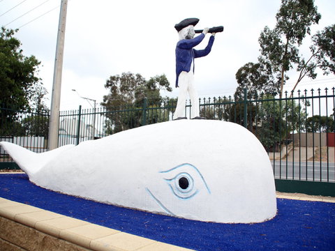 Explorers - Tourism Caloundra 1