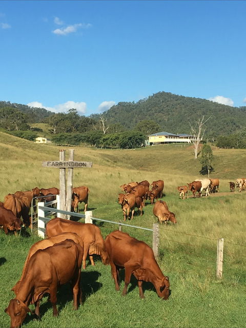 Farringdon Homestead - Tourism Caloundra 0