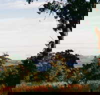 Hilltop Barn at Swan Bay - Tourism Caloundra