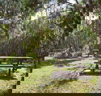 Illaroo group camping area - Tourism Caloundra