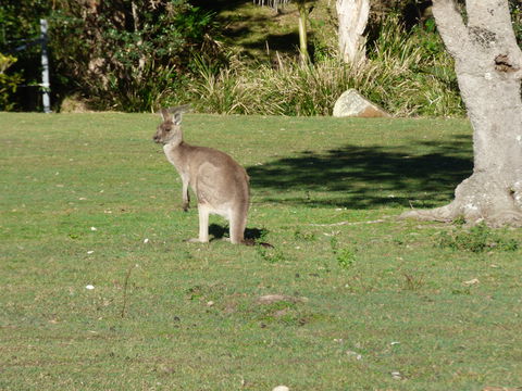 Little Bay Cottage - Tourism Caloundra 2