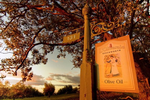 L'Oliveraie - Tourism Caloundra 1