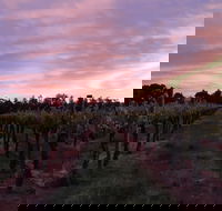Milawa Vineyard Views - Tourism Caloundra