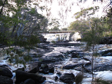 Nornalup Riverside Chalets - Tourism Caloundra 0