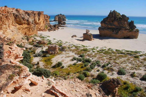 Oil Rig Square Campground - Canunda National Park - Tourism Caloundra 1