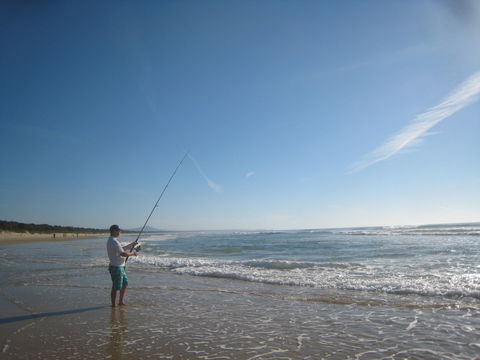 The View In Scotts Head - Tourism Caloundra 9