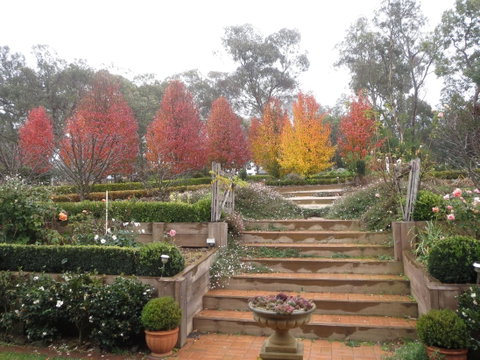 Wejalee Bed And Breakfast - Tourism Caloundra 1