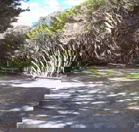 3 Mile Bend Campground - Beachport Conservation Park - Tourism Caloundra