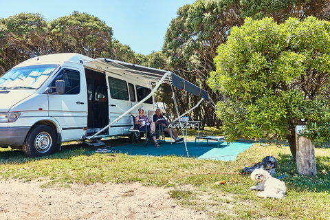 Anglesea Family Caravan Park - Tourism Caloundra 2