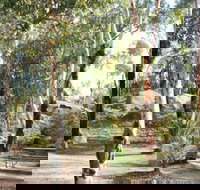 Bald Hill  Camp at Avon Valley National Park - Tourism Caloundra