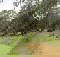 Ben Halls campground - Tourism Caloundra