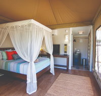Dubbo Rhino Lodge - Tourism Caloundra