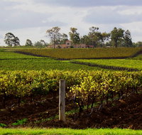 Estate Tuscany - Tourism Caloundra