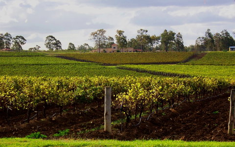 Estate Tuscany - Tourism Caloundra 0
