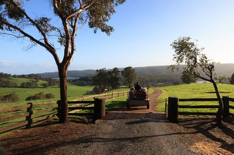 Harvey Hills Farm Stay Chalets - Tourism Caloundra 1
