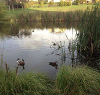 Harewood House Bed and Breakfast - Tourism Caloundra