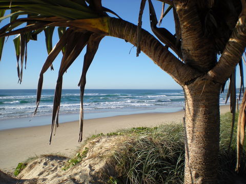 Horizons At Peregian - Tourism Caloundra 0