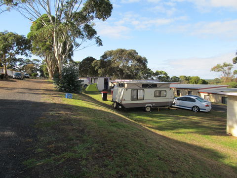 Limestone Coast Tourist Park - Tourism Caloundra 0