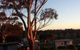 Limestone Coast Tourist Park - thumb 1