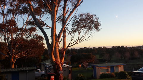 Limestone Coast Tourist Park - Tourism Caloundra 1