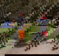 Ngarigo campground - Tourism Caloundra