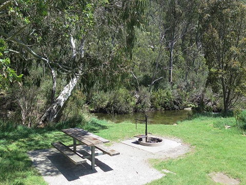 Ngarigo Campground - Tourism Caloundra 1