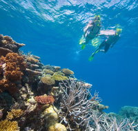 NRMA Cairns Holiday Park - Tourism Caloundra