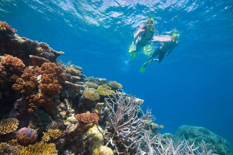 NRMA Cairns Holiday Park - Tourism Caloundra 0