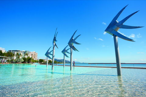 NRMA Cairns Holiday Park - Tourism Caloundra 1