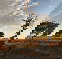 Rocklea Farm - Tourism Caloundra