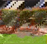 Alpha Canberra Hotel - Tourism Caloundra