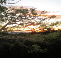 Annie's Place Bed and Breakfast - Tourism Caloundra