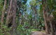 Brambles Green Campground - thumb 1